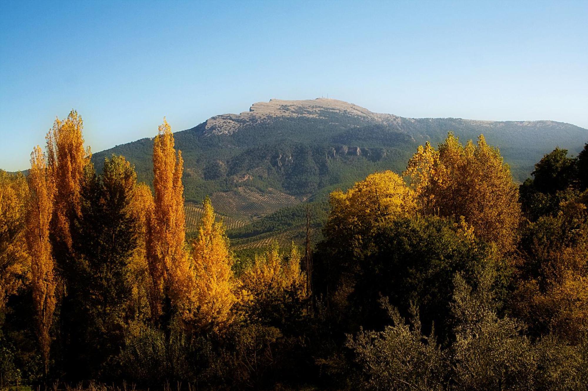 Los Huertos De Segura Segura de la Sierra Luaran gambar